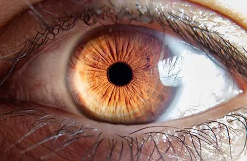 Ocular Health/General Health Advice